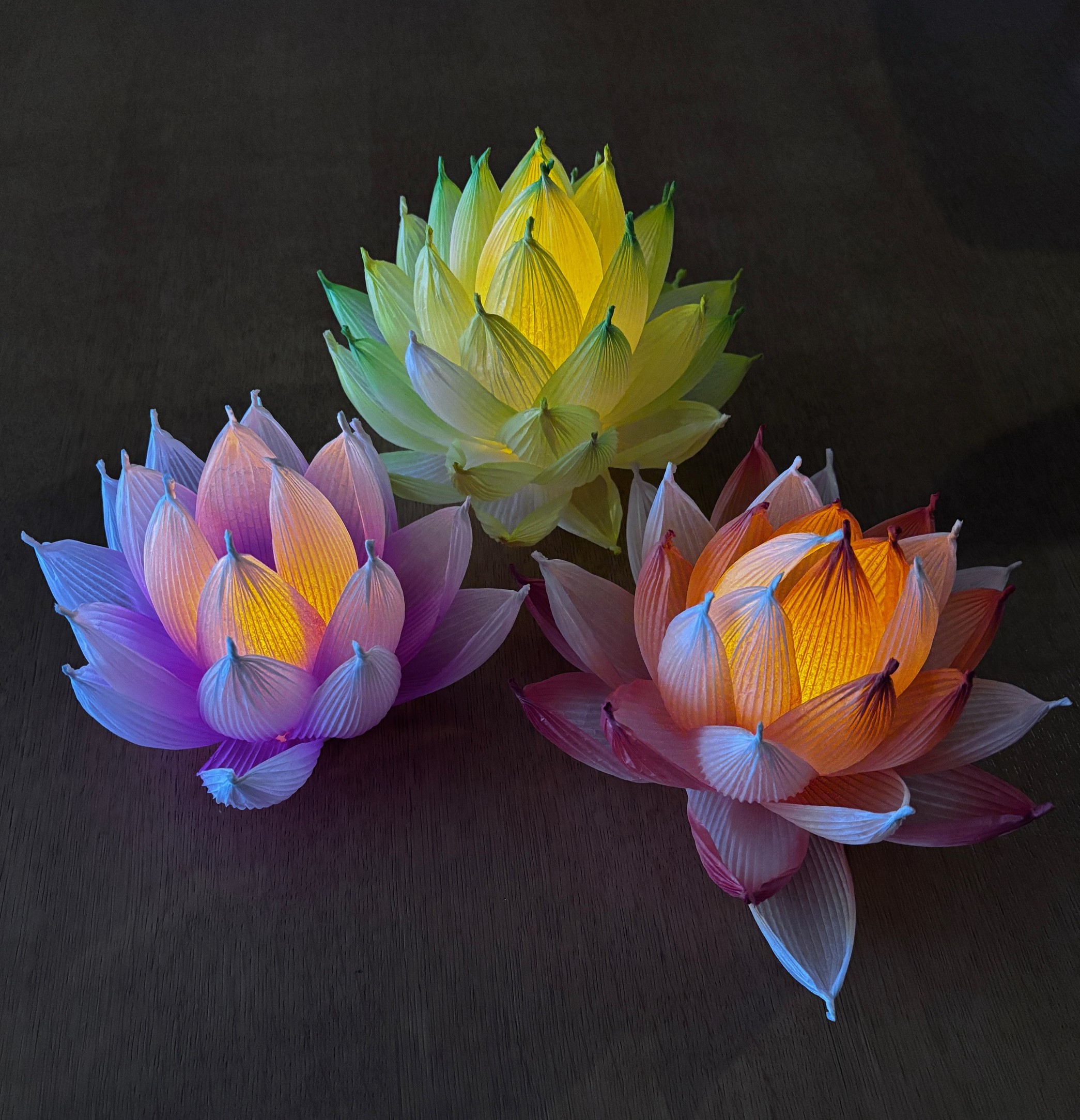 ハスの花のあかりづくり